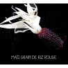 Maïs grain de riz rouge