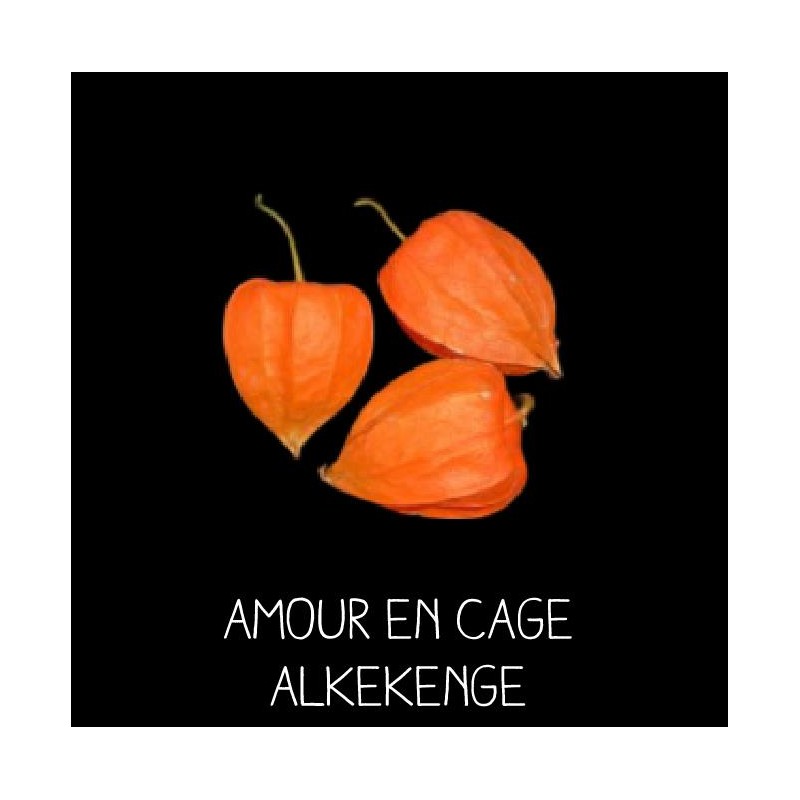 Amour en cage lanterne chinoise