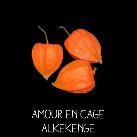 Amour en cage lanterne chinoise