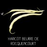Haricot beurre de Rocquencourt nain