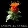 Carthame des teinturiers - CARTHAMUS TINCTORIUS