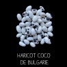 Haricot coco de Bulgarie à ramer
