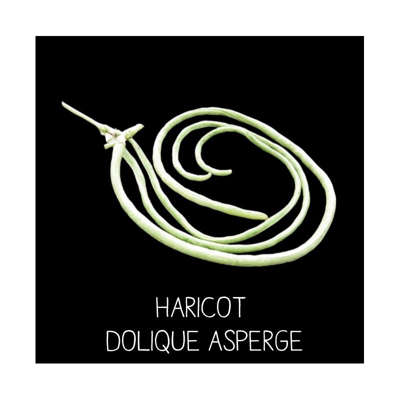 Haricot Dolique Asperge ou Kilomètre