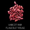 Haricot nain flageolet rouge