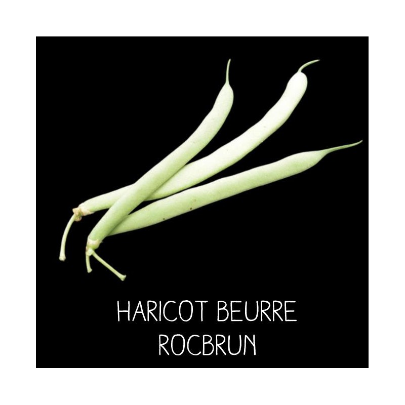 Haricot beurre rocbrun