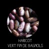 Haricot nain vert fin de Bagnols