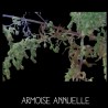 Armoise Annuelle - ARTEMISIA ANNUA