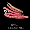 Haricot de Buenos Aires à ramer