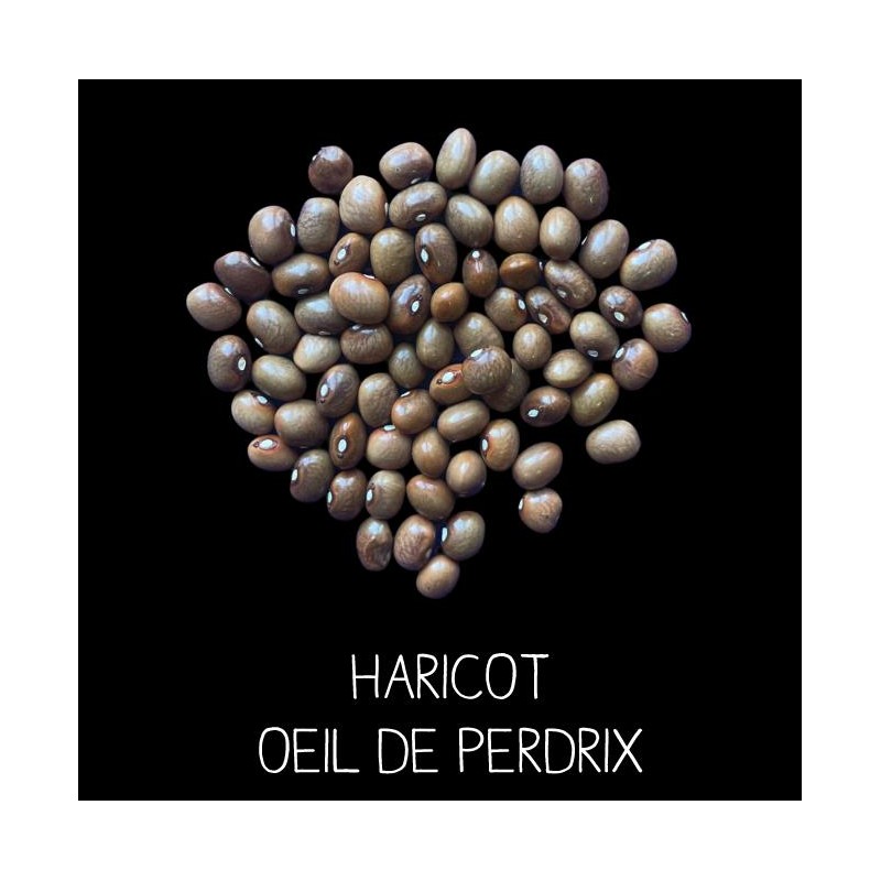 Haricot œil de perdrix