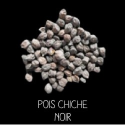 Pois chiche noir - CICER ARIETINUM