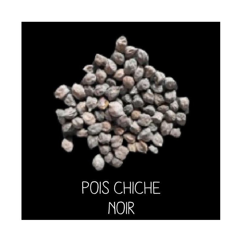 Pois chiche noir - CICER ARIETINUM
