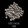 Pois chiche noir - CICER ARIETINUM