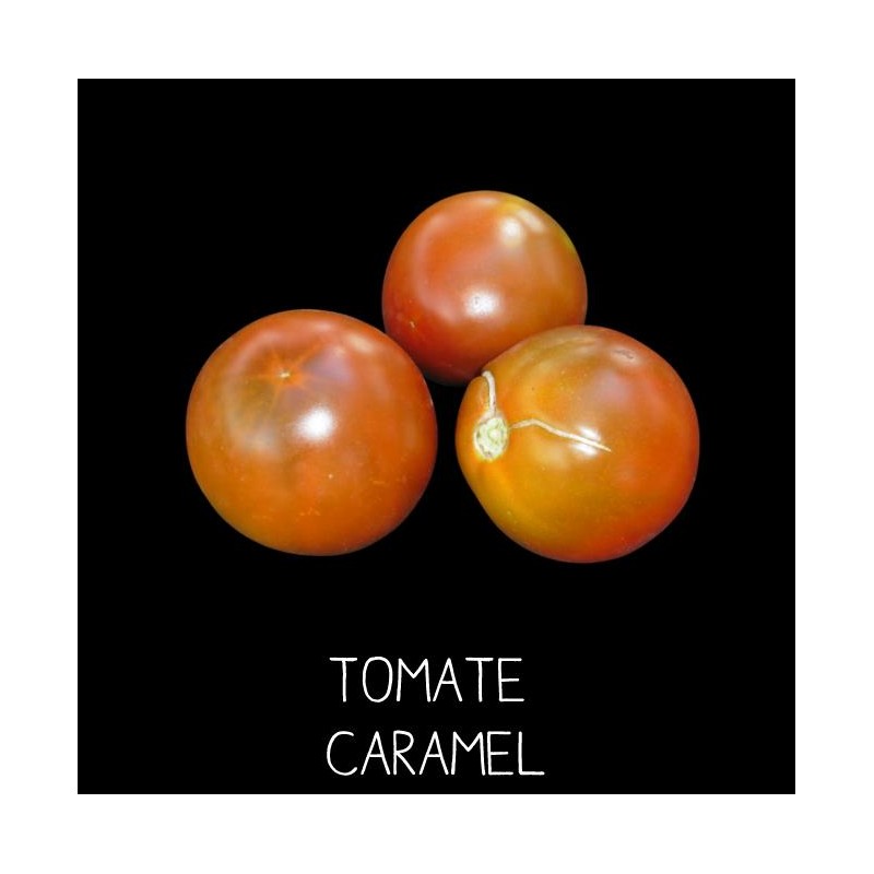 Tomate caramel