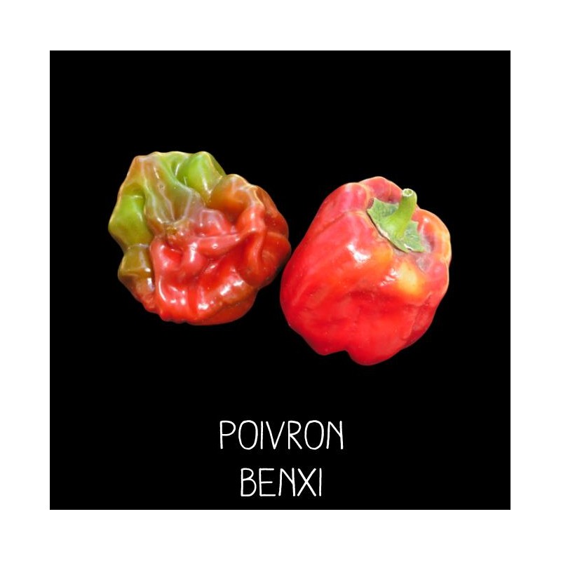 Poivron Benxi