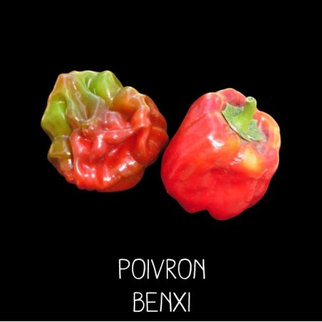 Poivron Benxi