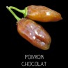 Poivron chocolat