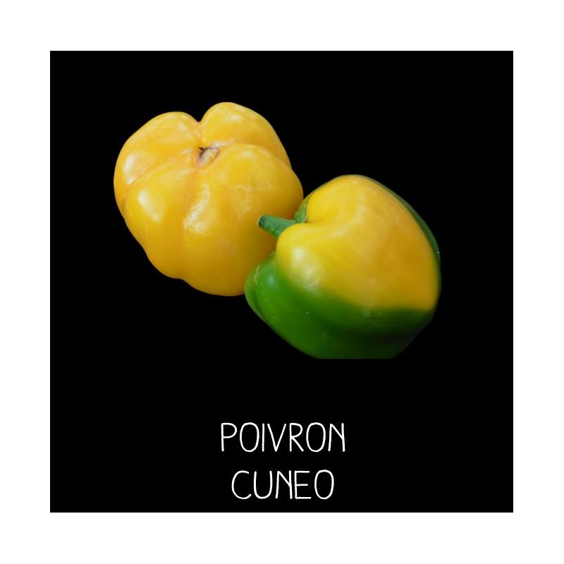 Poivron Cuneo