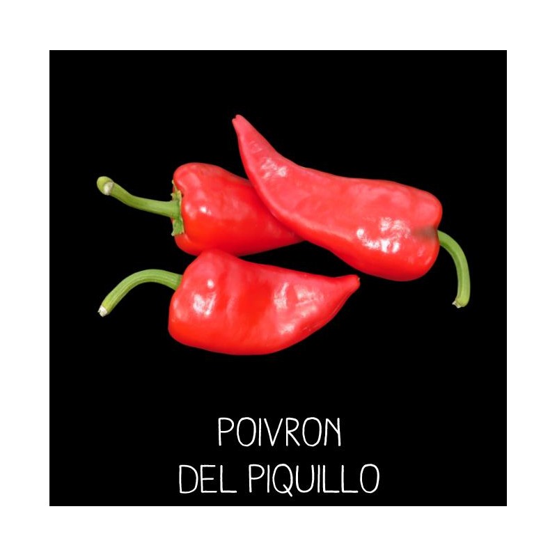 Poivron del piquillo