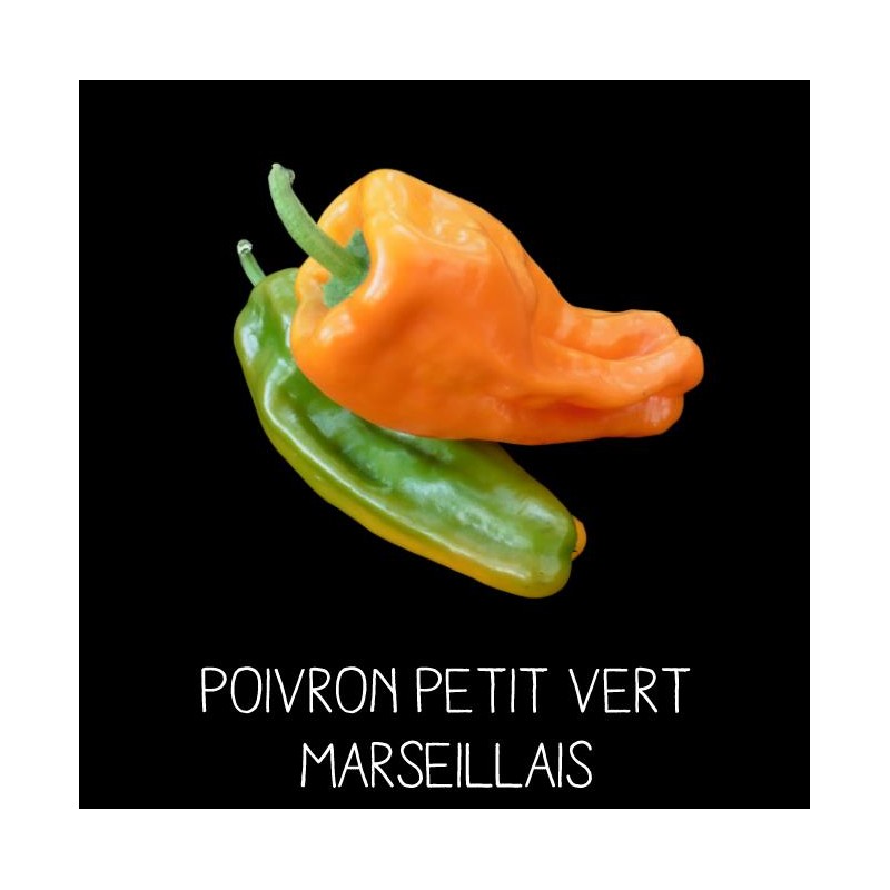 Poivron petit vert marseillais