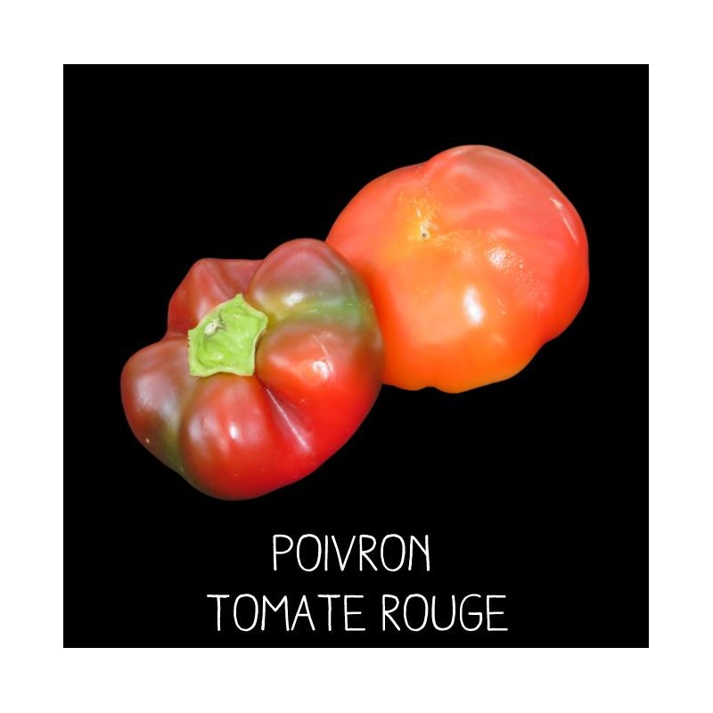 Poivron tomate rouge