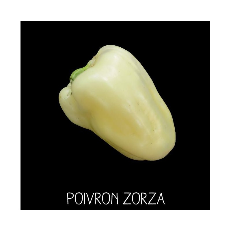Poivron zorza
