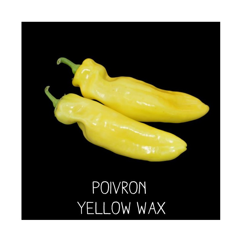 Poivron yellow wax