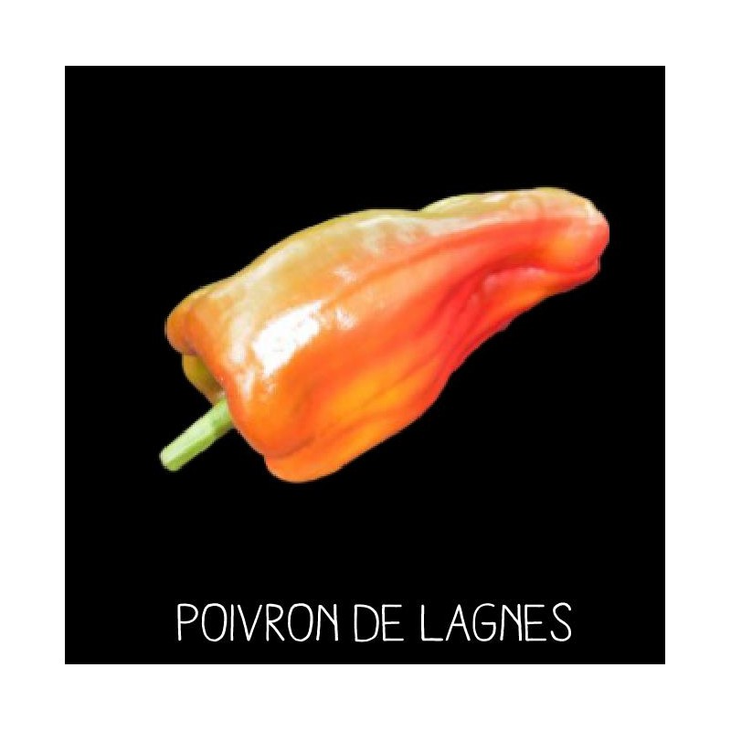 Poivron de Lagnes