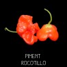 Piment rocotillo