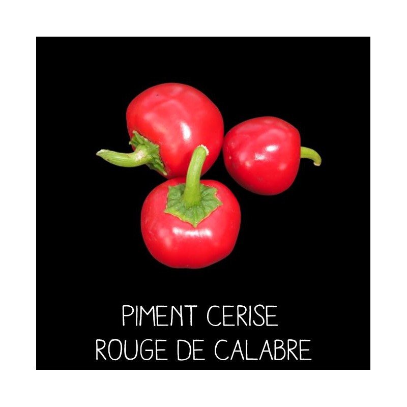 Piment cerise rouge de Calabre