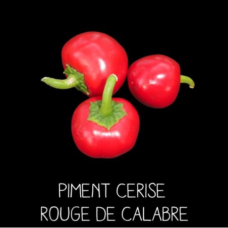 Piment cerise rouge de Calabre