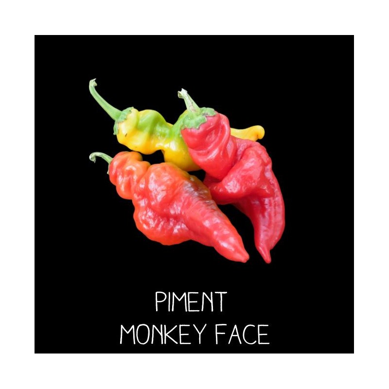 Piment monkey face