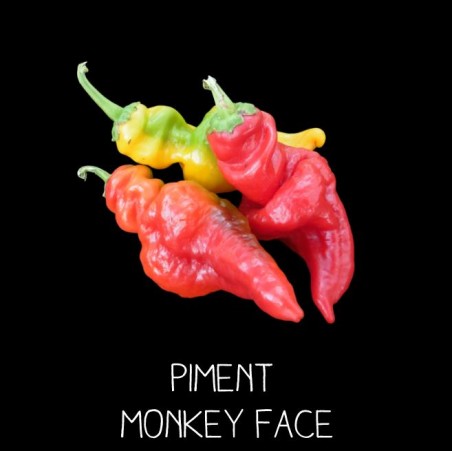 Piment monkey face