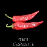 Piment d’Espelette
