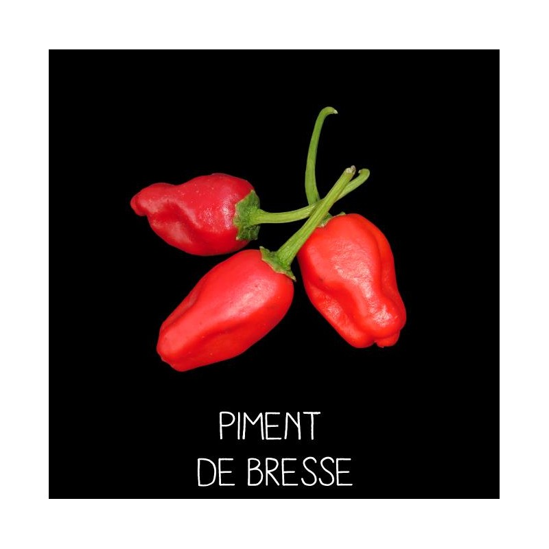 Piment de Bresse