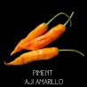 Piment Aji amarillo