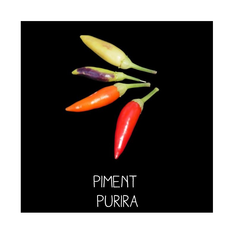 Piment Purira