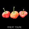 Piment Toupie