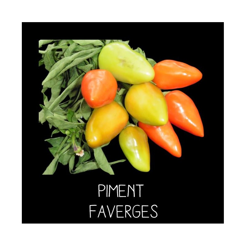 Piment Faverges