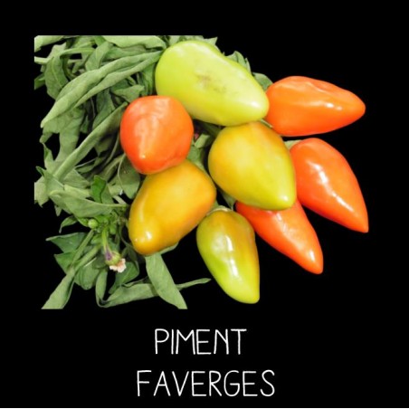 Piment Faverges
