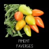 Piment Faverges