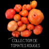 COLLECTION DE TOMATES ROUGES
