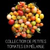 COLLECTION PETITES TOMATES EN MÉLANGE