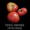 Tomate Marmande hâtive