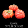 Tomate côtelée de Gênes