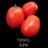 Tomate Roma souche paysanne