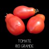 Tomate rio grande