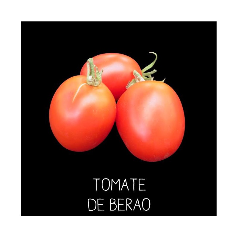Tomate de Berao