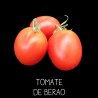 Tomate de Berao