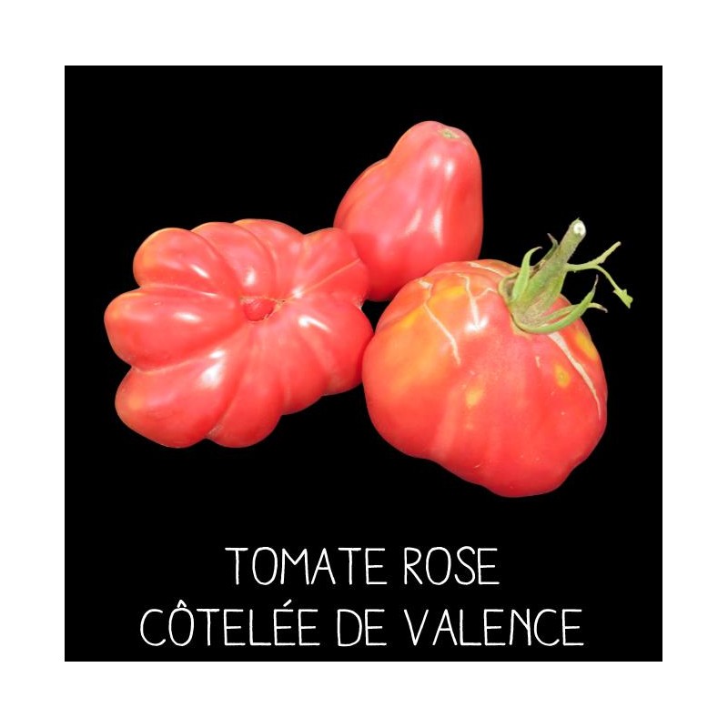 Tomate rose côtelée de Valence