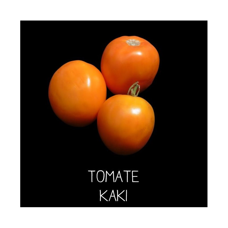 Tomate kaki orange